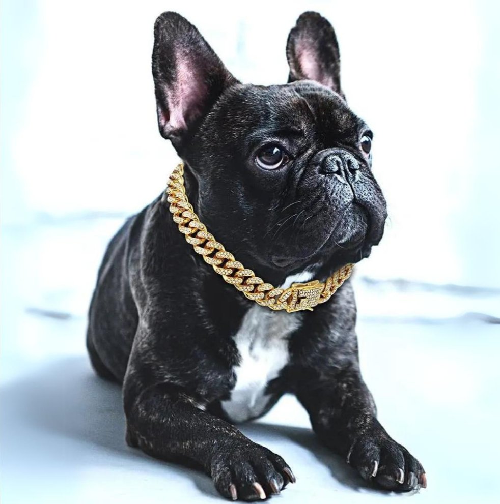 Elegant Dog Collar with Zirconia Diamonds | Luxury Gold Chain Design for Stylish Pets 0