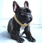Elegant Dog Collar with Zirconia Diamonds | Luxury Gold Chain Design for Stylish Pets 0