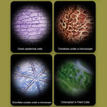 ExplorerLens | Portable Microscope for Kids with 60x-120x Magnification | Lightweight & Compact for Outdoor Adventures 7