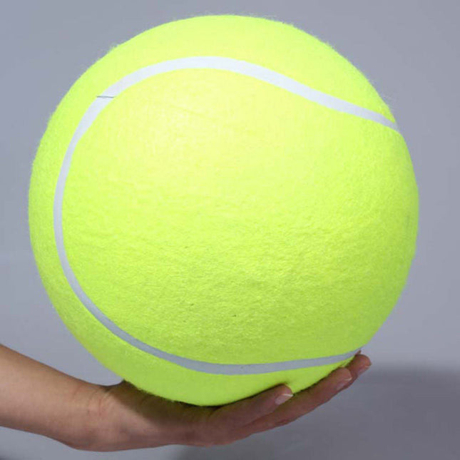 Dog Ball, Dog Toy for Large Dogs for Outdoor Play at the Beach