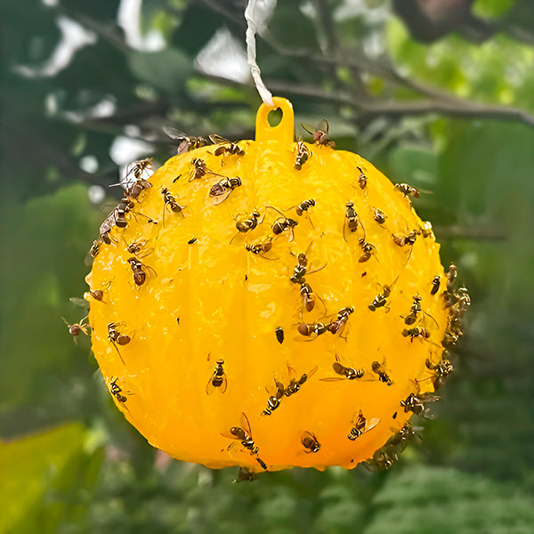 Outdoor Fly Traps Hanging, 6 Pack Sticky Trap