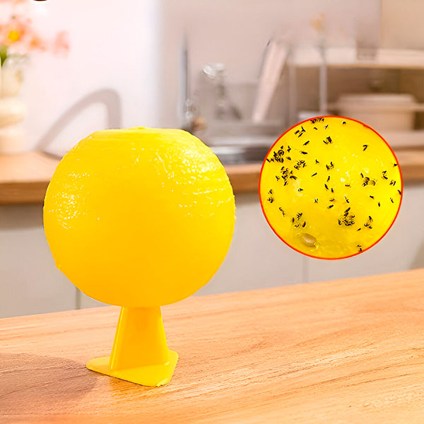 Chemical Free Fly Catcher for Garden and Patio