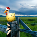 Garden Charm | Garden Statue Chicken with Vibrant Eyes | Unique Outdoor Decor for Lasting Ambiance 9
