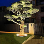 Garden Glow | Outdoor Spotlight with Weatherproof Design | Energy-Efficient Landscape Lights for Stunning Ambiance 4