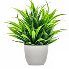Fake Plants Indoor and Outdoor, Artificial Plants with Pots for Desk and Bathroom, Plastic Potted Plant with No Watering