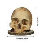 Gothic Culinary | Skull Knife Holder with Hand-Painted Design | Unique Kitchen Decor for Functional Storage 5