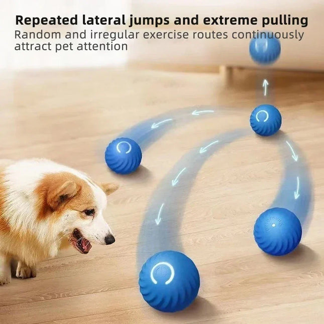 Anti Anxiety Dog Toy, Dog Toys for Puppies