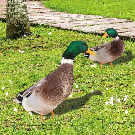 Outdoor Duck Decorations, Double Sided Lawn Ornaments