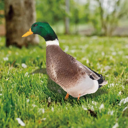 Outdoor Duck Decorations, Outdoor Garden Decor with Ground Stake for Yard and Flower Bed