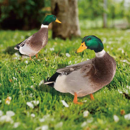 Outdoor Duck Decorations, Double Sided Lawn Ornaments – image 4