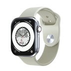 Silver / Stainless Steel / 46mm