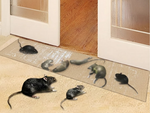 Home Pest Control | Effective Sticky Boards with High-Viscosity Adhesive | Versatile Traps for Rodents and Insects 6