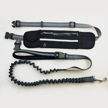 Hands Free Dog Leash with Waist Belt, Nylon Dog Leashes for Small and Large Dogs
