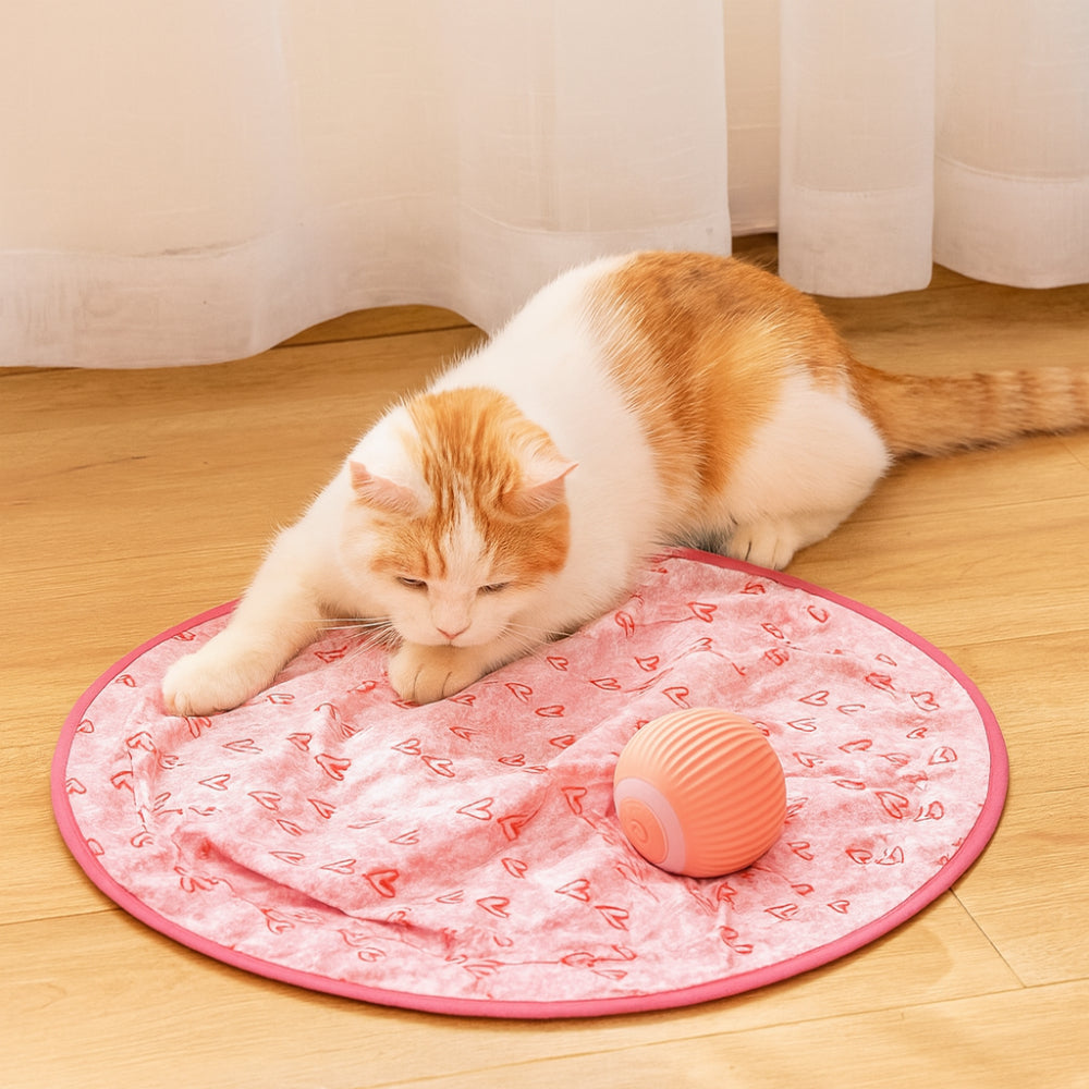 Interactive Cat Toy Play Mat with Chase Ball | Engaging Fun for Active Cats 0