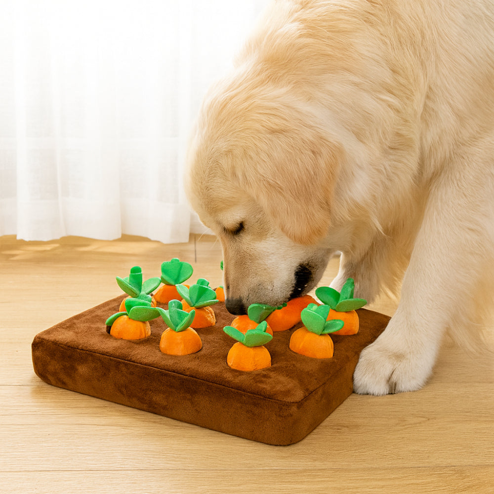 Interactive Dog Puzzle Toy Mat with Forage Design for Mental Stimulation 0