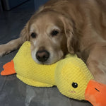 Interactive Dog Toy | Calming Plush Duck with Quacking Sound | Engaging Play for Stress Relief 4