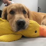 Interactive Dog Toy | Calming Plush Duck with Quacking Sound | Engaging Play for Stress Relief 6