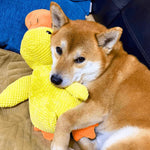 Interactive Dog Toy | Calming Plush Duck with Quacking Sound | Engaging Play for Stress Relief 7