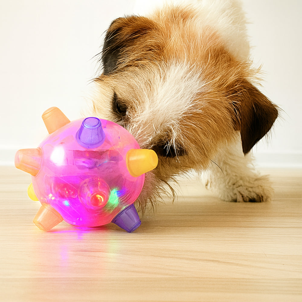 Interactive LED Dog Toy Ball with Flashing Lights | Engaging Play for Active Dogs 0