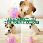 Interactive LED Dog Toy Ball with Flashing Lights | Engaging Play for Active Dogs 4