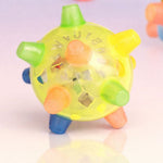 Interactive LED Dog Toy Ball with Flashing Lights | Engaging Play for Active Dogs 5