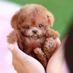 Interactive Plush Dog | Realistic Movements & Touch Response | Comforting Companion for All Ages 1