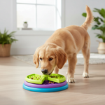 Interactive Slow Feeder Dog Bowl | Multi-Level Design for Healthy Eating 4
