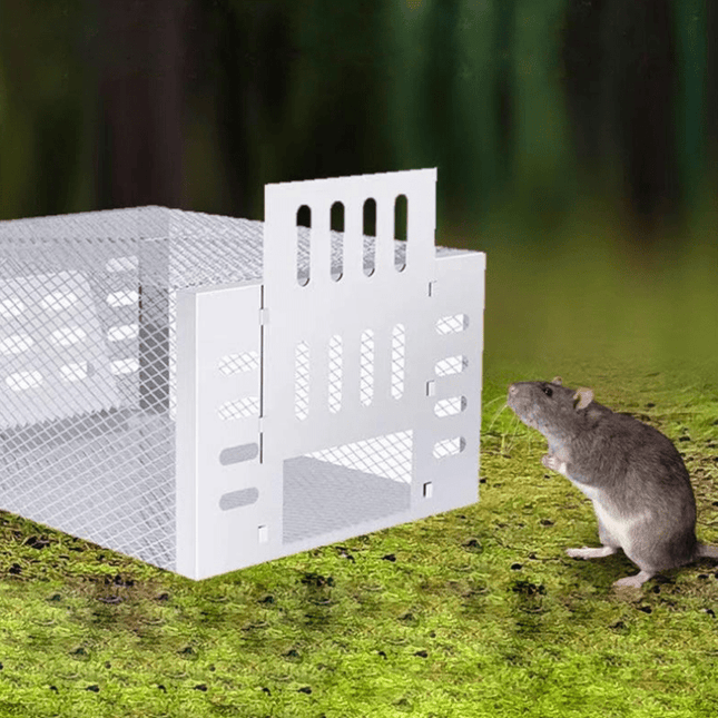 Humane Mouse Trap Live Catch Cage, Reusable Live Mouse Trap for 10 to 15 Mice