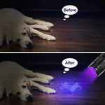 LED UV Flashlight | Compact Design for Stain Detection | Essential Tool for Home Cleaning 4
