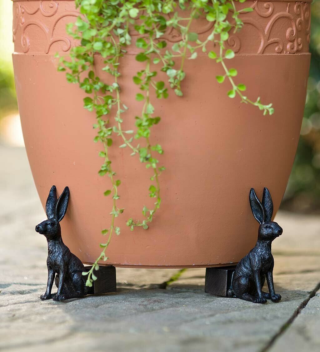 Labrador Potty Feet | Decorative Plant Pot Feet for Improved Drainage | Frost-Resistant Design for Healthy Plants 0
