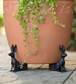 Labrador Potty Feet | Decorative Plant Pot Feet for Improved Drainage | Frost-Resistant Design for Healthy Plants 0