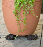 Labrador Potty Feet | Decorative Plant Pot Feet for Improved Drainage | Frost-Resistant Design for Healthy Plants 4