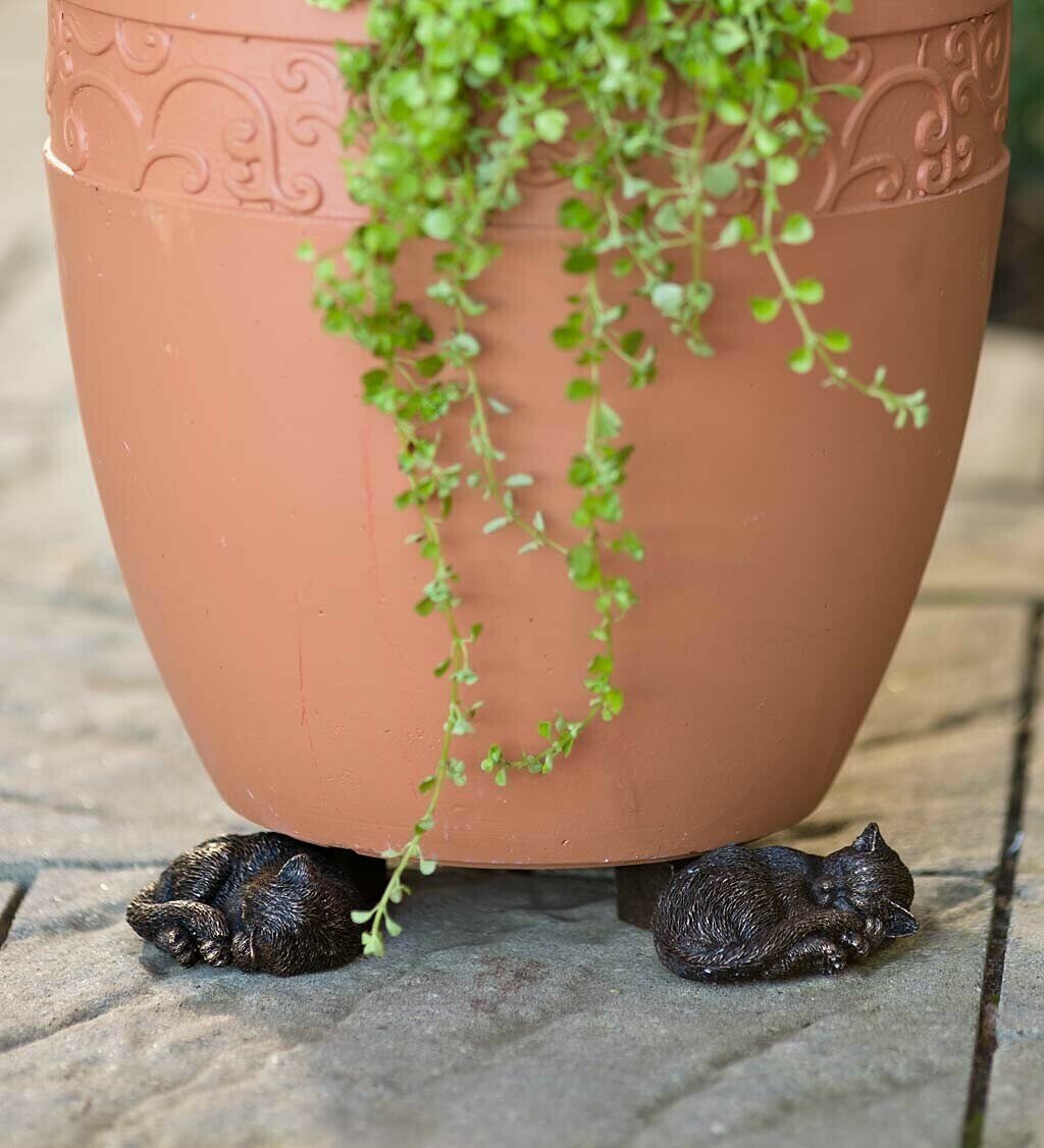Labrador Potty Feet | Decorative Plant Pot Feet for Improved Drainage | Frost-Resistant Design for Healthy Plants 4