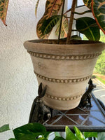 Labrador Potty Feet | Decorative Plant Pot Feet for Improved Drainage | Frost-Resistant Design for Healthy Plants 6