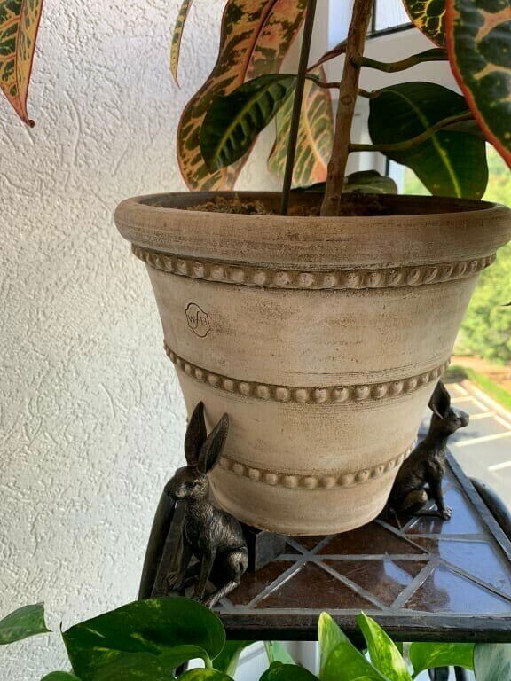 Labrador Potty Feet | Decorative Plant Pot Feet for Improved Drainage | Frost-Resistant Design for Healthy Plants 6