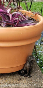 Labrador Potty Feet | Decorative Plant Pot Feet for Improved Drainage | Frost-Resistant Design for Healthy Plants 7