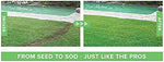 Lawn Care Solution | Liquid Grass Seed Spray with Nutrient-Rich Formula | Easy Application for Lush, Vibrant Lawns 2