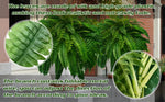 Lifelike Artificial Boston Fern with UV Resistance & Waterproof Design for Year-Round Outdoor Décor 7