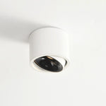 Luminara | Stylish Modern Adjustable LED Flush Mount Ceiling Light 11