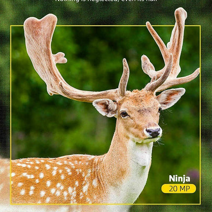 Trail Camera for Hunting, Waterproof Deer Camera for Wildlife – image 5