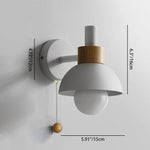 Maco Globe Wall Sconce | Colorful Iron and Glass Design 4