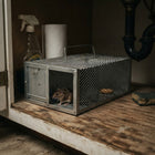 Mouse Traps Indoor, Humane Mouse Trap Live Catch Metal Cage for Mice, Reusable Single Door Rat Trap for Rodents Outdoor