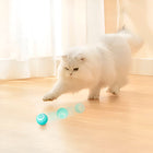 Interactive Dog Ball, Automatic Cat Toy with Random Rolling, Self Rolling Cat Ball, Pet Toy for Dogs and Cats