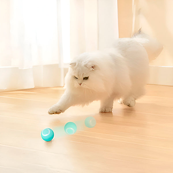 Interactive Dog Ball, Automatic Cat Toy with Random Rolling, Self Rolling Cat Ball, Pet Toy for Dogs and Cats