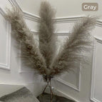 Beige / 5 pcs.