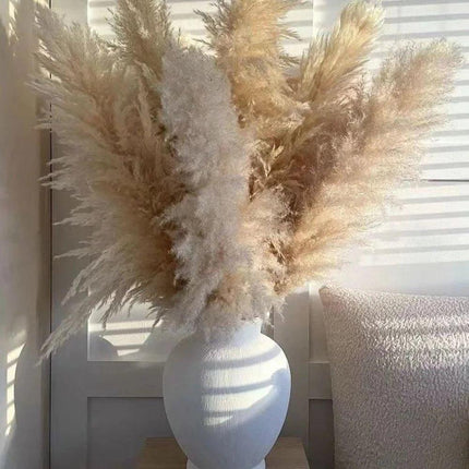 Natural Dried Flower Bouquet | 80 cm Pampas Grass with Fluffy Feathers | Elegant Home Decor for Boho Style 1