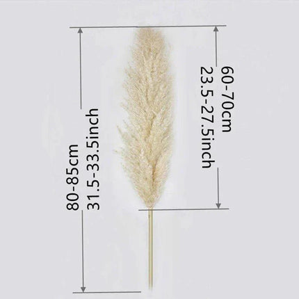 Natural Dried Flower Bouquet | 80 cm Pampas Grass with Fluffy Feathers | Elegant Home Decor for Boho Style 2