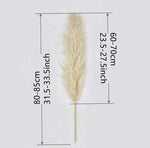Natural Dried Flower Bouquet | 80 cm Pampas Grass with Fluffy Feathers | Elegant Home Decor for Boho Style 2