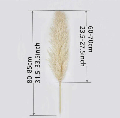 Natural Dried Flower Bouquet | 80 cm Pampas Grass with Fluffy Feathers | Elegant Home Decor for Boho Style 2