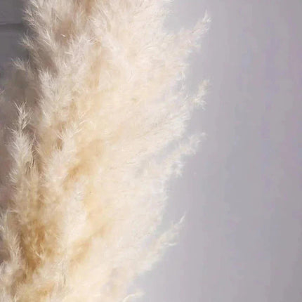 Natural Dried Flower Bouquet | 80 cm Pampas Grass with Fluffy Feathers | Elegant Home Decor for Boho Style 3